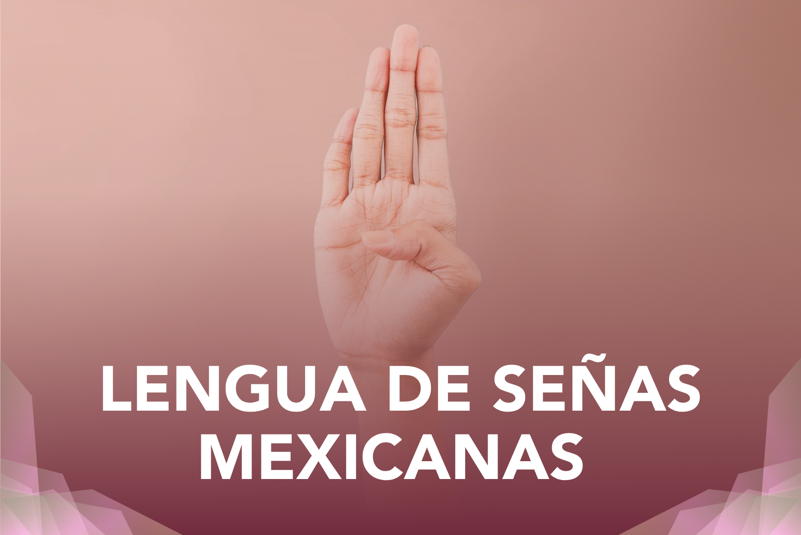 Miniatura Lengua Señas Verano